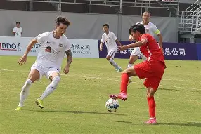 爱游戏体育-法甲赛前走向成谜，上海海港远射贴柱，震撼外界，球探报告显示潜力(中国四大海域是哪四个)